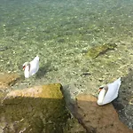 Отель Alfieri 3*