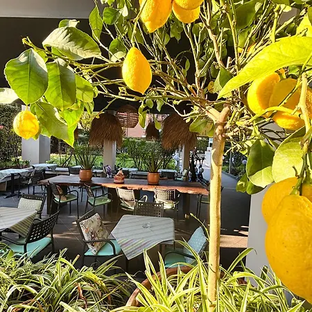 Alfieri Hotel
